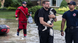 Wisconsin State Fair Canceled as Floods Leave Thousands Without Power