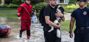 Wisconsin State Fair Canceled as Floods Leave Thousands Without Power