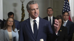 Gavin Newsom Gets Into War of Words With Ted Cruz Over Texas Democrats