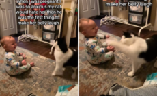 New Mom Anxious To Let Cat Play With Baby—Not Expecting What She Captures