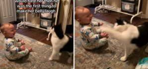 New Mom Anxious To Let Cat Play With Baby—Not Expecting What She Captures