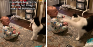 New Mom Anxious To Let Cat Play With Baby—Not Expecting What She Captures