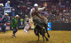 How to Watch Freedom Days: Live Stream PBR Camping World Team Series, TV Channel