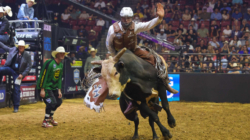 How to Watch Freedom Days: Live Stream PBR Camping World Team Series, TV Channel