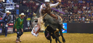 How to Watch Freedom Days: Live Stream PBR Camping World Team Series, TV Channel