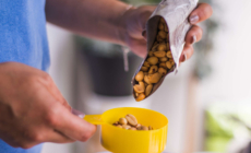 Drug Could Stop Life-Threatening Food Allergies in Millions