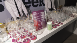 Women’s Global Impact Forum 2025: Day of Networking, Panels Inspires Attendees