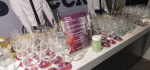 Women’s Global Impact Forum 2025: Day of Networking, Panels Inspires Attendees