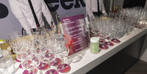 Women’s Global Impact Forum 2025: Day of Networking, Panels Inspires Attendees