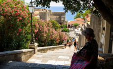 Tourist Stuck at Top of Stairs With Suitcase—Plan To Get Down Goes Viral