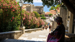 Tourist Stuck at Top of Stairs With Suitcase—Plan To Get Down Goes Viral
