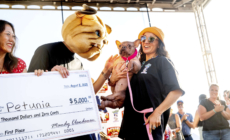 ‘World’s Ugliest Dog’ Contest Crowns New Winner
