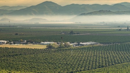 Drying and water depletion bring deepening crisis around the world