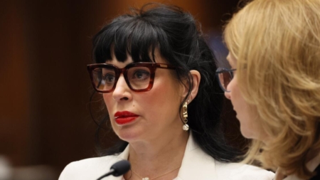 Author and wife of Weezer bassist avoids jail in LAPD gun incident