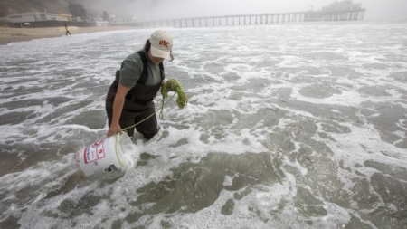 Did L.A. wildfire debris worsen this year’s toxic algal bloom?