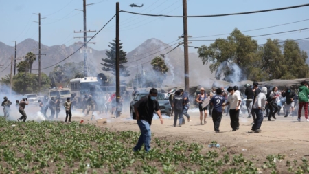 United Nations urged to investigate L.A. immigration raids