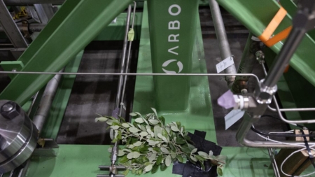 California needs biomass energy. Its projects keep going South