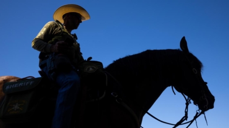 A horse called Maverick was close to death. He found new purpose with the Riverside County mounted deputies