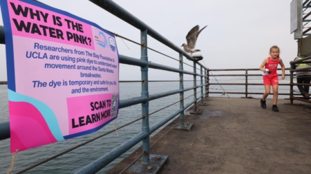 How can a pink dye job improve water quality in Santa Monica Bay?