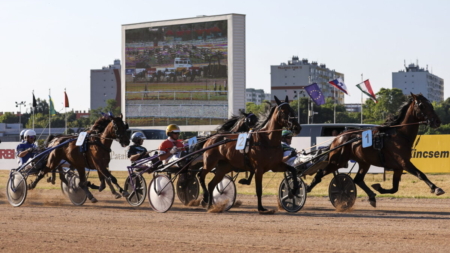 National Gallop 2025: Hungary’s Heart Beats on Horseback