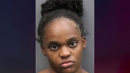 Woman allegedly tried to drown her kids because she ‘could not take it anymore’