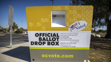 SoCal woman registered her dog to vote, cast ballots twice, D.A. says
