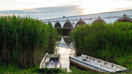 Hortobágy Bird Theater Promises One-of-a-kind Glimpse into Nature