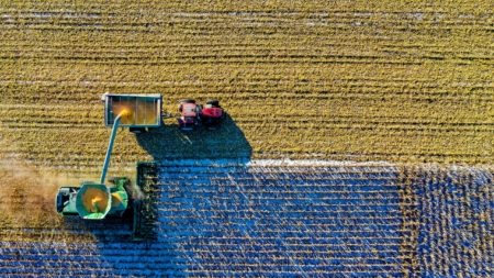 Late Summer Weather Favors Ripening and Harvesting