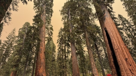 Garnet fire in the Sierra prompts more evacuations, intense smoke