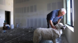 He might be the first one to rebuild a house in Altadena, and he credits his golden retriever