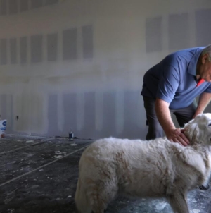 He might be the first one to rebuild a house in Altadena, and he credits his golden retriever