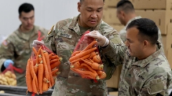 Hunger looms as millions prepare to lose food aid amid shutdown