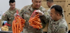 Hunger looms as millions prepare to lose food aid amid shutdown