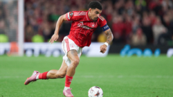 How to Watch Newcastle United vs Nottingham Forest: Live Stream Premier League, TV Channel