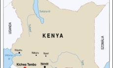 Kenya Plane Crash Families to Receive Support from Government