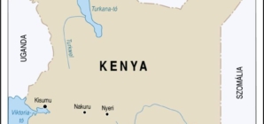Kenya Plane Crash Families to Receive Support from Government