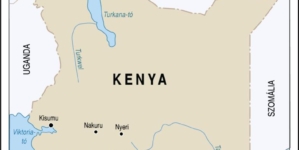 Kenya Plane Crash Families to Receive Support from Government