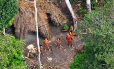 Why the survival of uncontacted Indigenous peoples is under growing threat