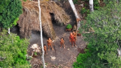 Why the survival of uncontacted Indigenous peoples is under growing threat