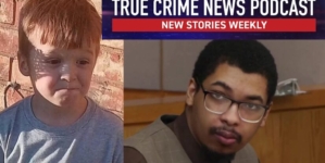 4-year-old taken from bed he shared with twin, and brutally stabbed to death