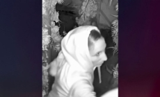 Lovebirds caught on tape having sex outside Arizona restaurant, then stealing booze and cash