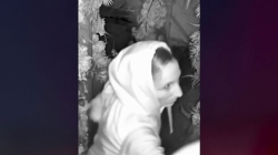 Lovebirds caught on tape having sex outside Arizona restaurant, then stealing booze and cash