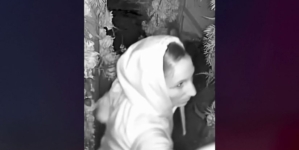 Lovebirds caught on tape having sex outside Arizona restaurant, then stealing booze and cash