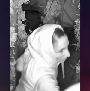 Lovebirds caught on tape having sex outside Arizona restaurant, then stealing booze and cash