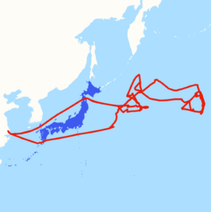 Map Shows China Sending Ships Around US Ally
