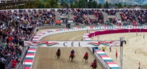Vojvodina Rider Claims Victory at 18th National Gallop