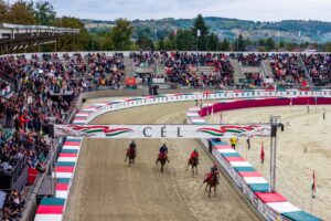 Vojvodina Rider Claims Victory at 18th National Gallop