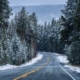 Winter weather warning as 20 inches of snow to hit