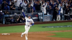 Underdog Promo Code NEWSWEEK: Get $100 Bonus For NBA, World Series Picks