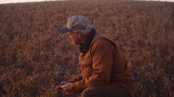 Farmer: Why Do Our Dietary Guidelines Recommend Healthy Vegetables the Least? | Opinion